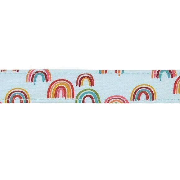 NWT Top Paw 4 Ft Rainbows Aqua Neoprene Comfort Dog Leash Pale Sky Blue - Picture 1 of 8